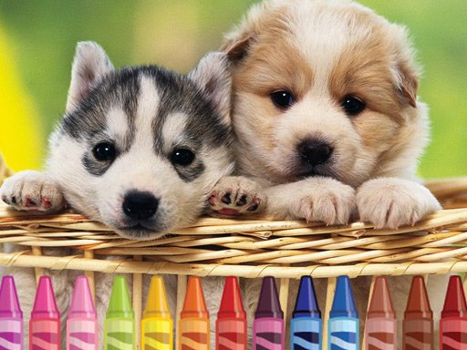 4GameGround - Puppy Coloring Online
