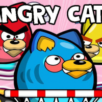 Angry Cats