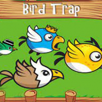 Bird Trap