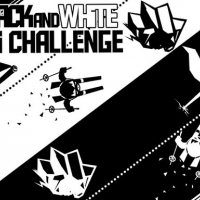 Black & white ski challenge