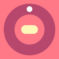 Chaotic Spin