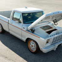 Ford F-100 Eluminator Slide