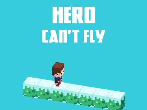 Hero Cannot Fly Online