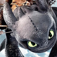 How To Train Your Dragon Jigsaw Puzzle Collection