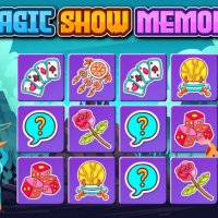 Magic Show Memory