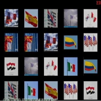 Memorize the flags