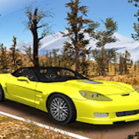 	 Mountain Car Driving Simulator