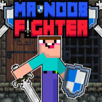 Mr Noob Fighter