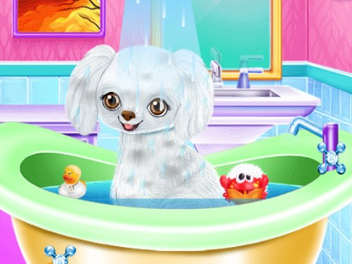 My New Poodle Friend Online