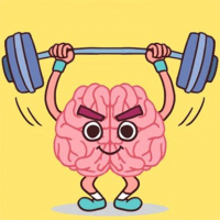 Perfect Brain 3D Puzzle