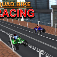 Quad Bike Racing