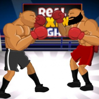 Real Boxing Fight