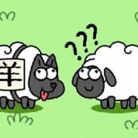 Sheep And Sheep