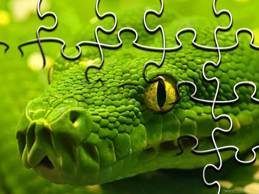 Snakes Jigsaw Puzzle Online