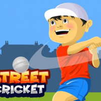 Street Cricket