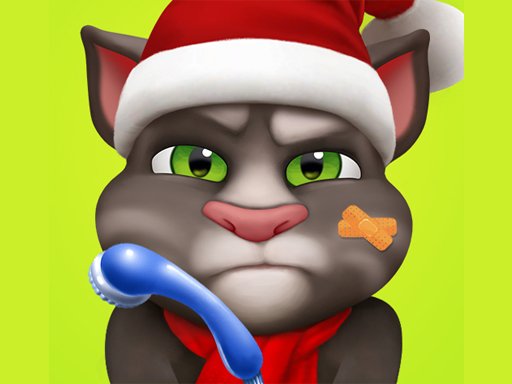 Talking Tom Injfdfury Online