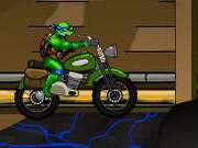 Turtles Bike Adventure